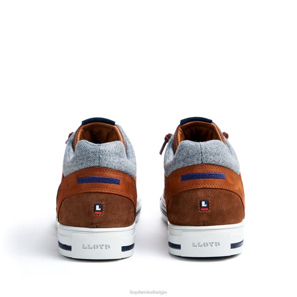 ellison Heren LLOYD bruin schoenen ZJ6BL316