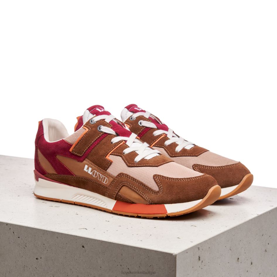 elton Heren LLOYD bruin schoenen ZJ6BL380