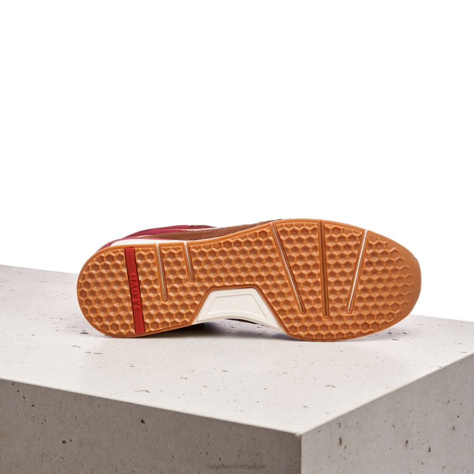 elton Heren LLOYD bruin schoenen ZJ6BL380