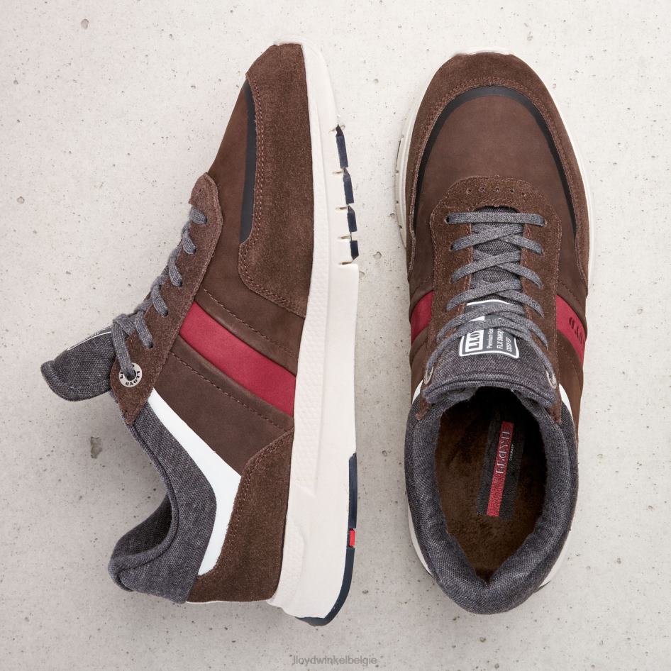 ennio Heren LLOYD bruin schoenen ZJ6BL352