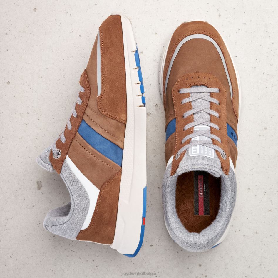 ennio Heren LLOYD bruin schoenen ZJ6BL379