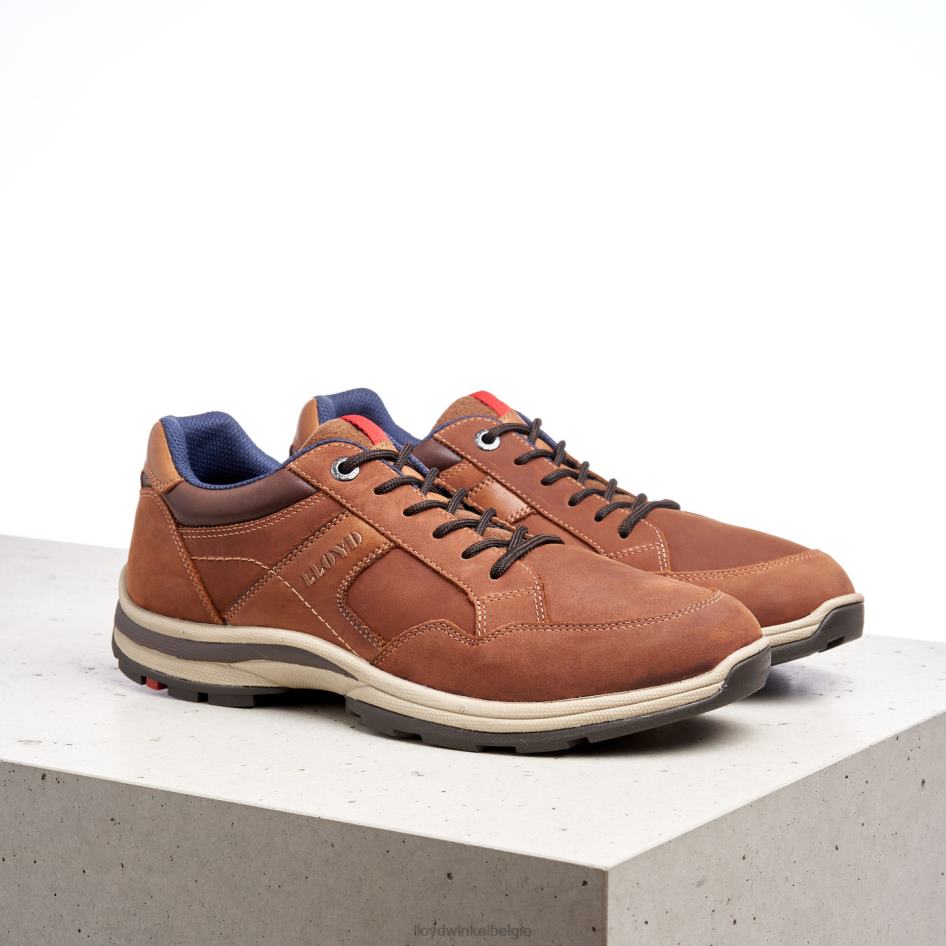 ensor Heren LLOYD bruin schoenen ZJ6BL394