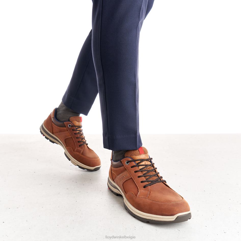 ensor Heren LLOYD bruin schoenen ZJ6BL394
