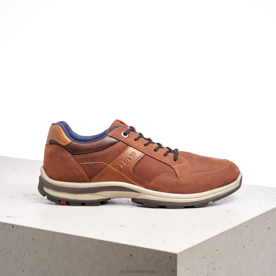 ensor Heren LLOYD bruin schoenen ZJ6BL394