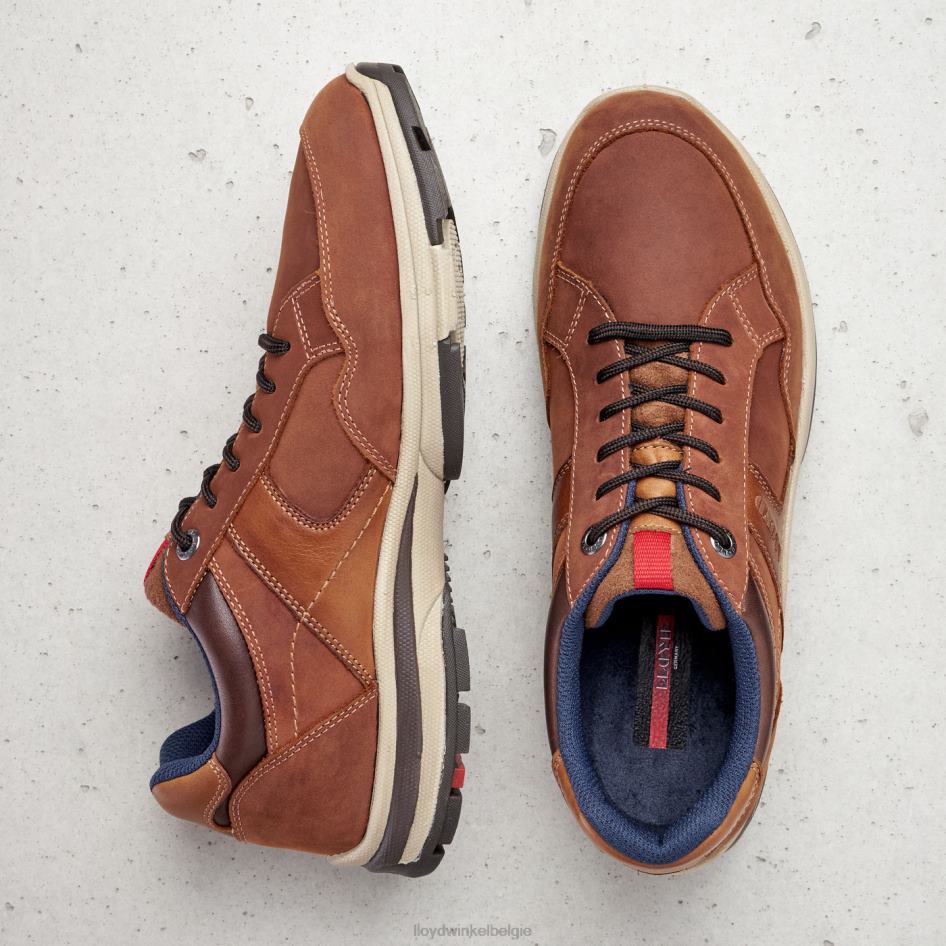 ensor Heren LLOYD bruin schoenen ZJ6BL394