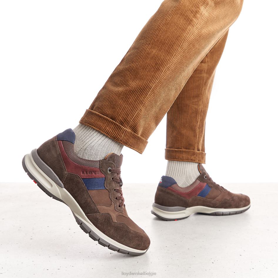 kant (xtrabreed) Heren LLOYD bruin schoenen ZJ6BL399