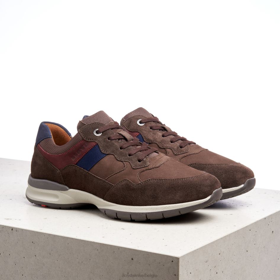 kant (xtrabreed) Heren LLOYD bruin schoenen ZJ6BL399