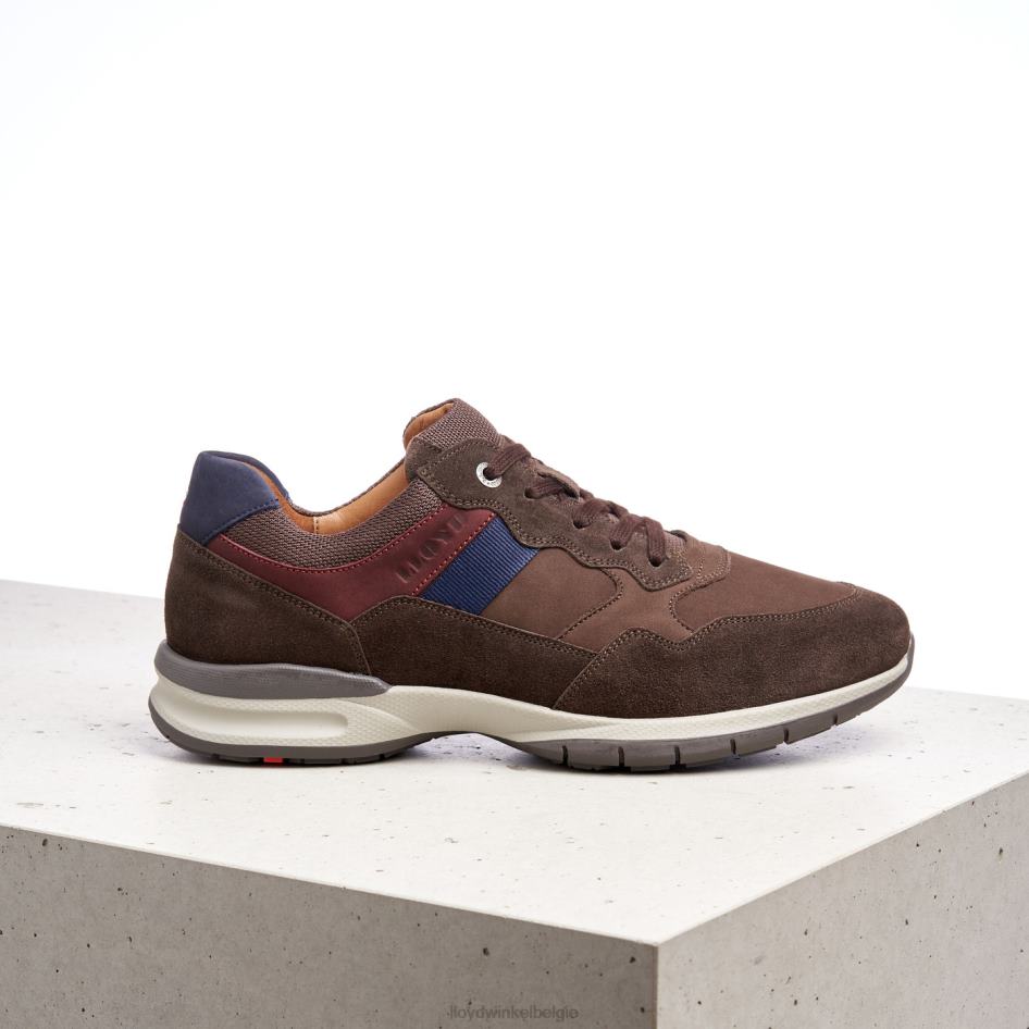 kant (xtrabreed) Heren LLOYD bruin schoenen ZJ6BL399