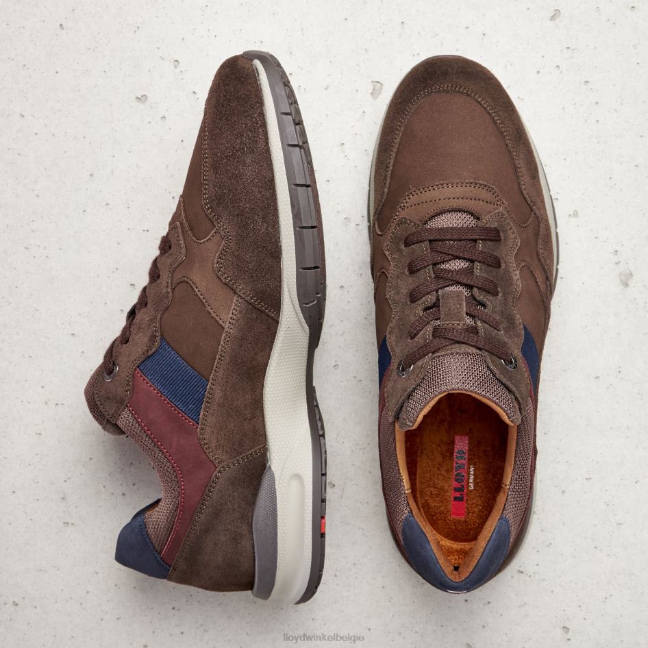 kant (xtrabreed) Heren LLOYD bruin schoenen ZJ6BL399