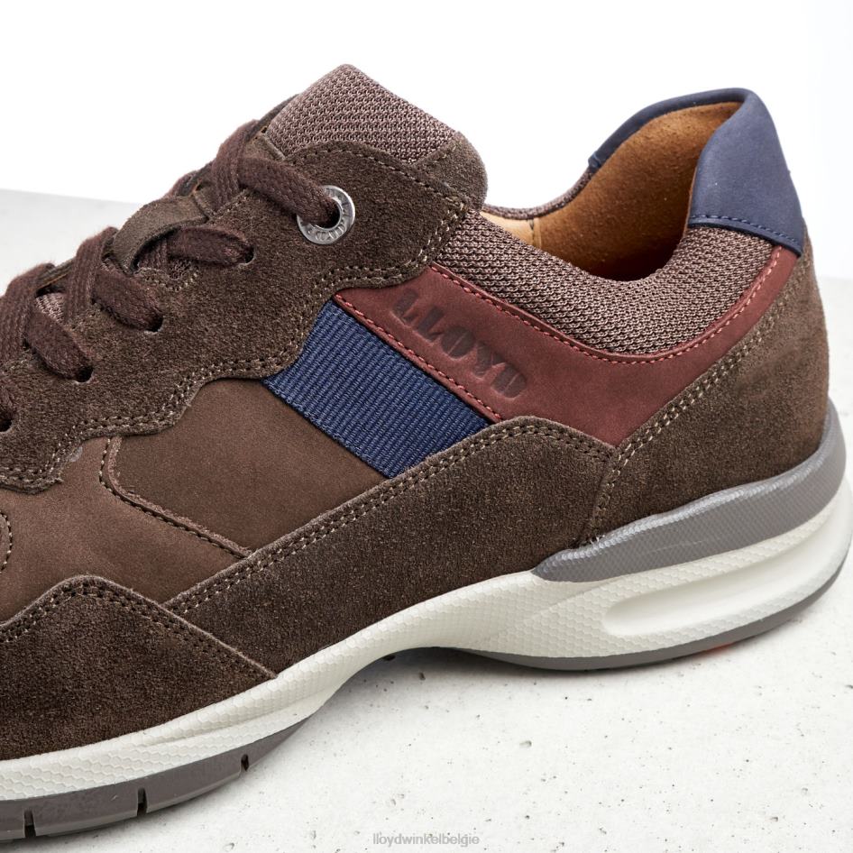 kant (xtrabreed) Heren LLOYD bruin schoenen ZJ6BL399