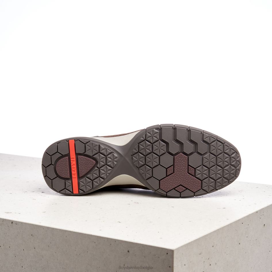 kant (xtrabreed) Heren LLOYD bruin schoenen ZJ6BL399