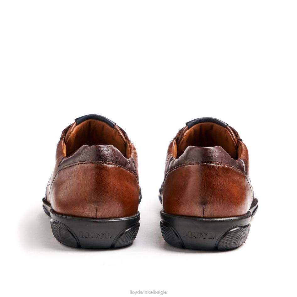 kortom Heren LLOYD bruin schoenen ZJ6BL418