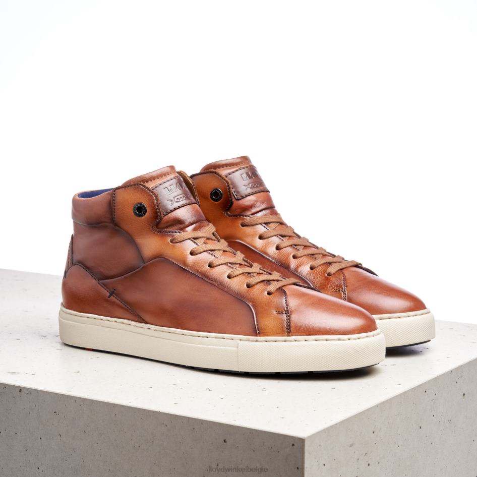 maarschalk Heren LLOYD bruin schoenen ZJ6BL254