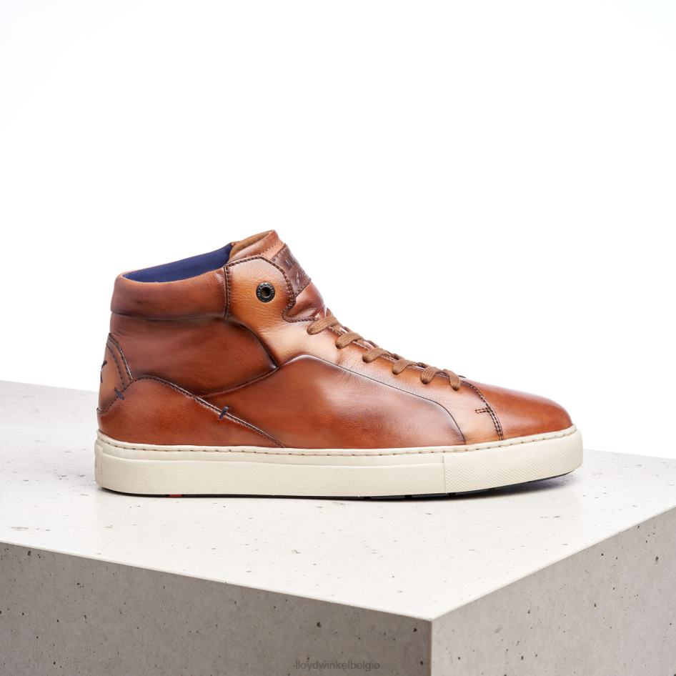 maarschalk Heren LLOYD bruin schoenen ZJ6BL254