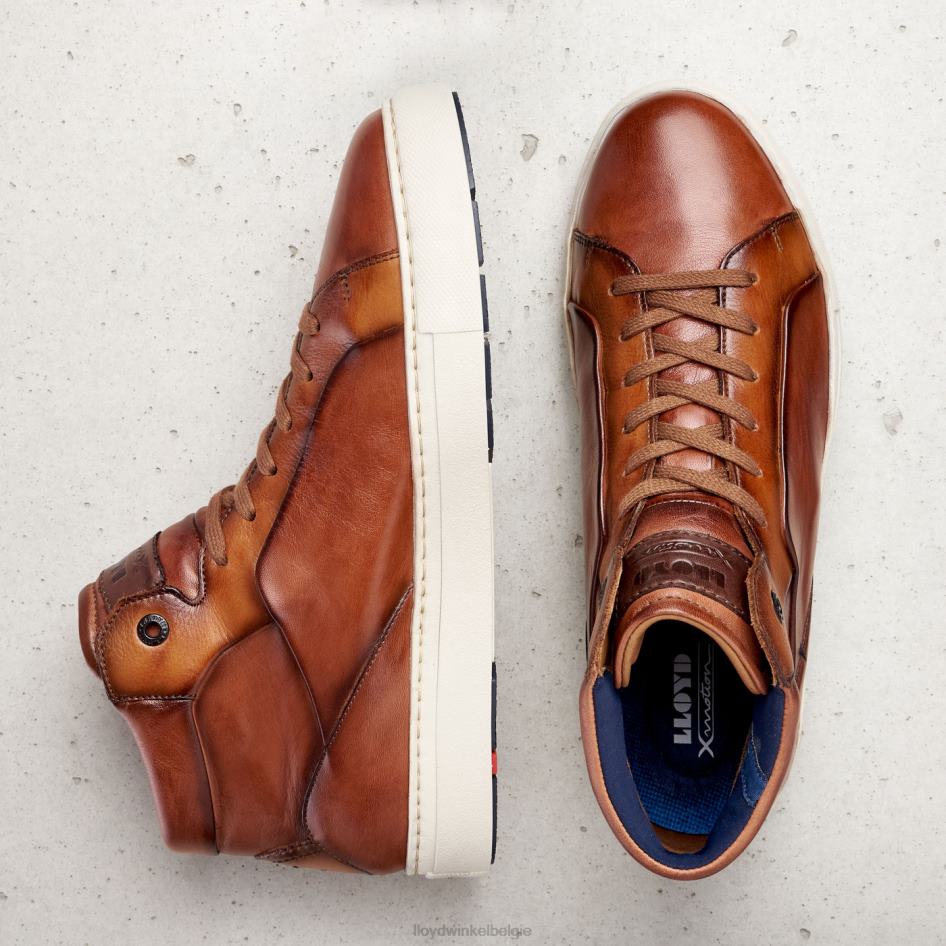 maarschalk Heren LLOYD bruin schoenen ZJ6BL254