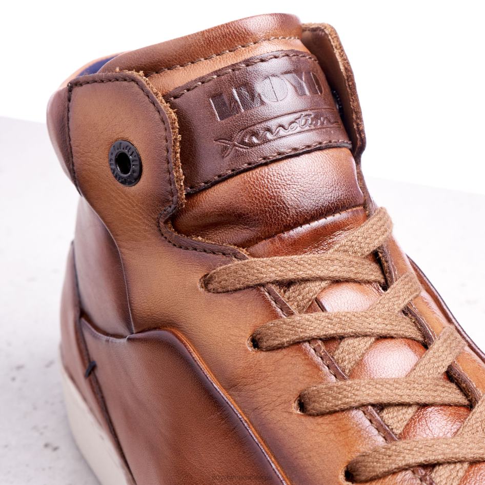 maarschalk Heren LLOYD bruin schoenen ZJ6BL254