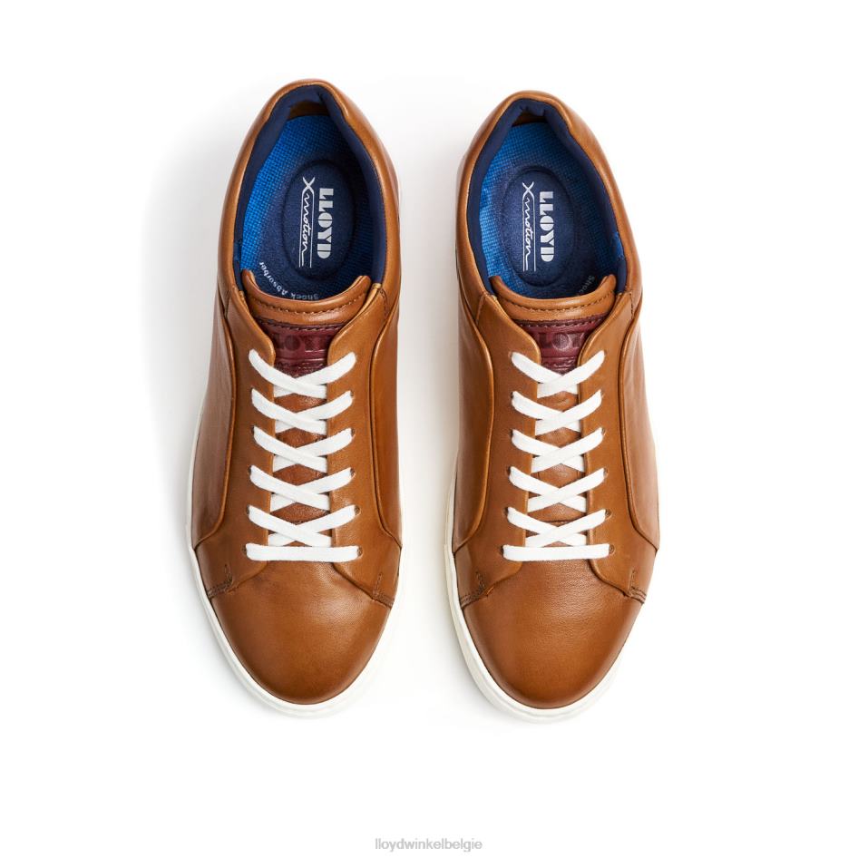 majuro Heren LLOYD bruin schoenen ZJ6BL258