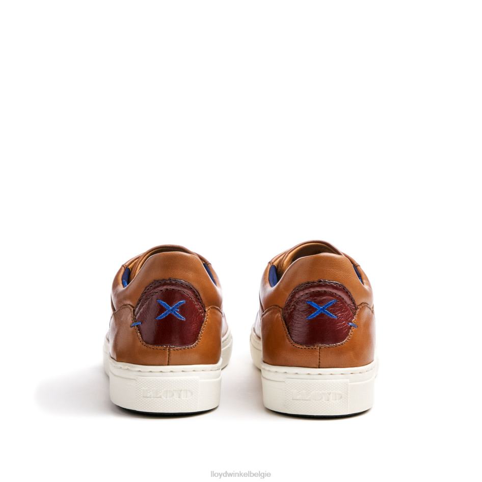 majuro Heren LLOYD bruin schoenen ZJ6BL258