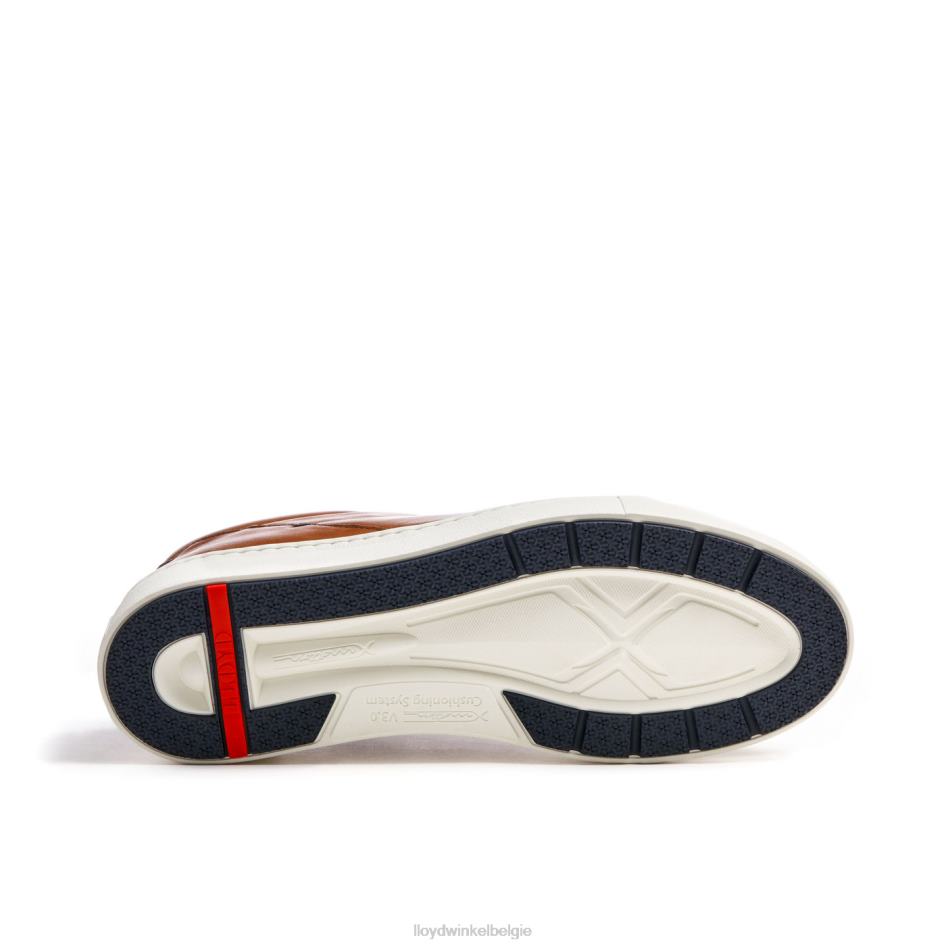 majuro Heren LLOYD bruin schoenen ZJ6BL258