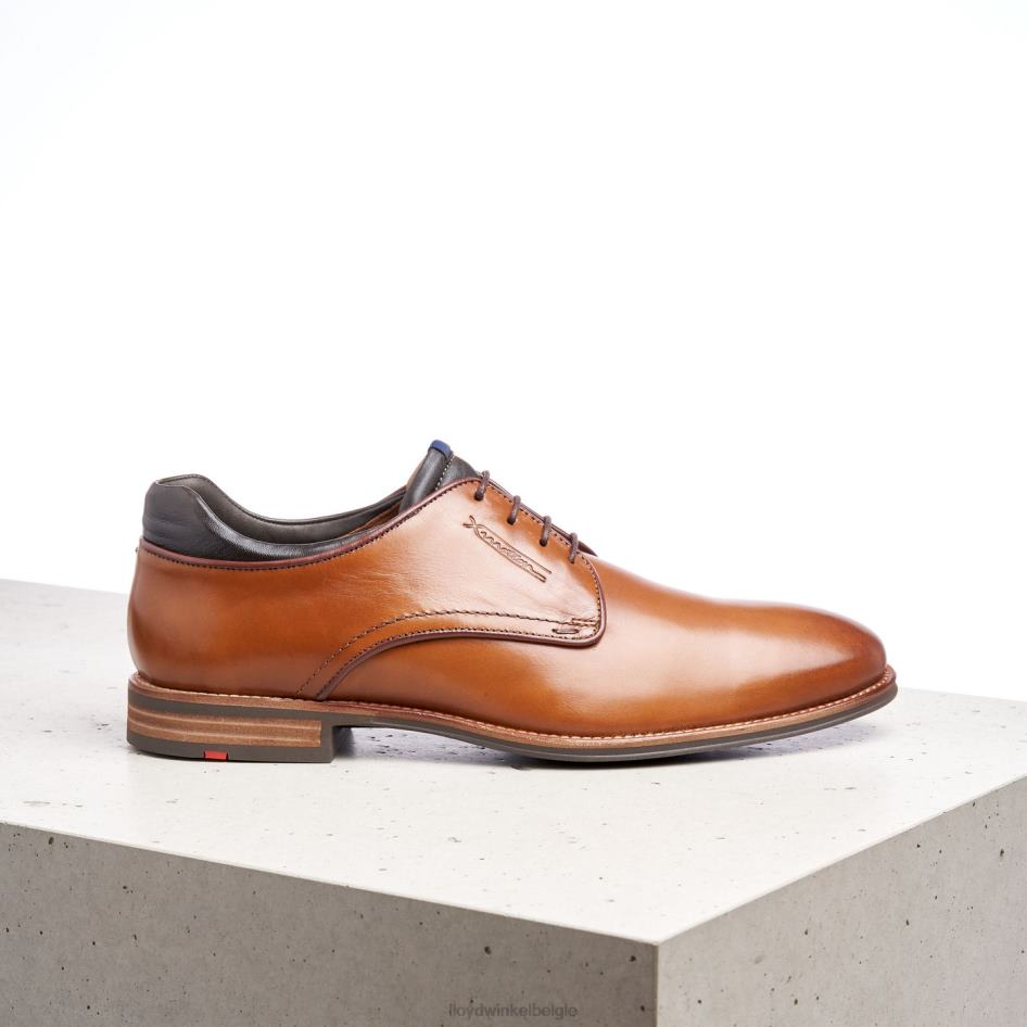 massief Heren LLOYD bruin schoenen ZJ6BL201