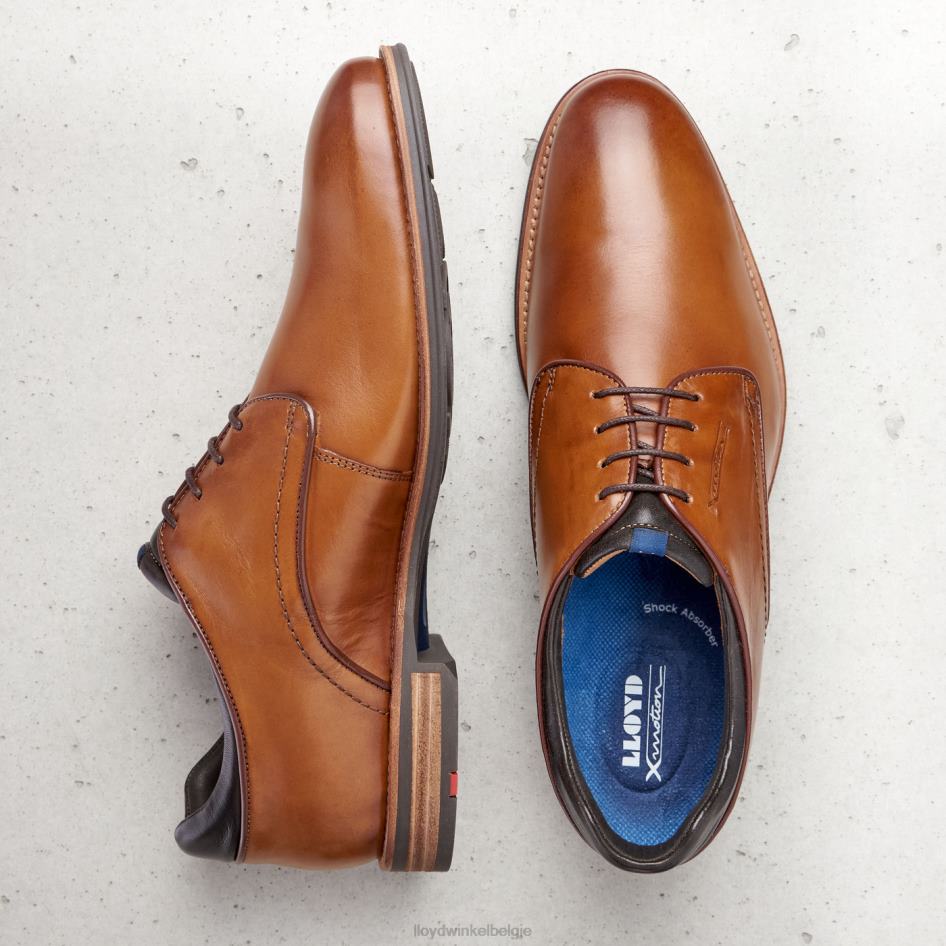 massief Heren LLOYD bruin schoenen ZJ6BL201