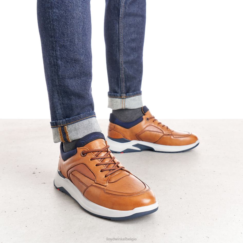 memphis Heren LLOYD bruin schoenen ZJ6BL1328