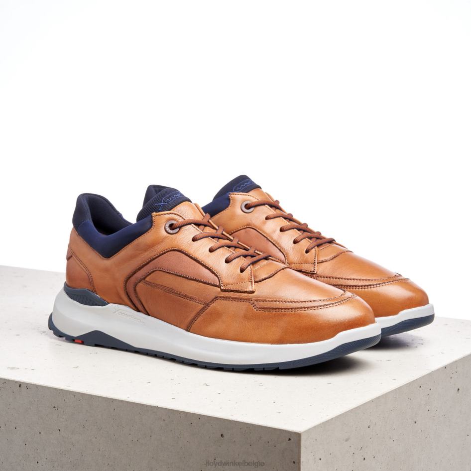 memphis Heren LLOYD bruin schoenen ZJ6BL1328