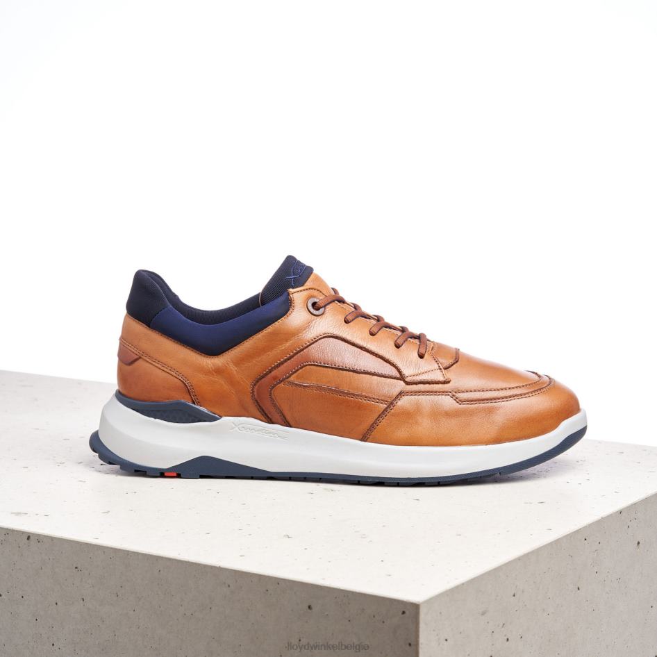 memphis Heren LLOYD bruin schoenen ZJ6BL1328