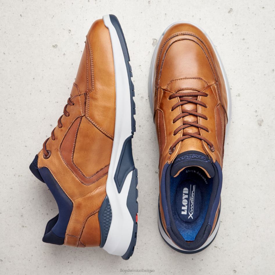 memphis Heren LLOYD bruin schoenen ZJ6BL1328