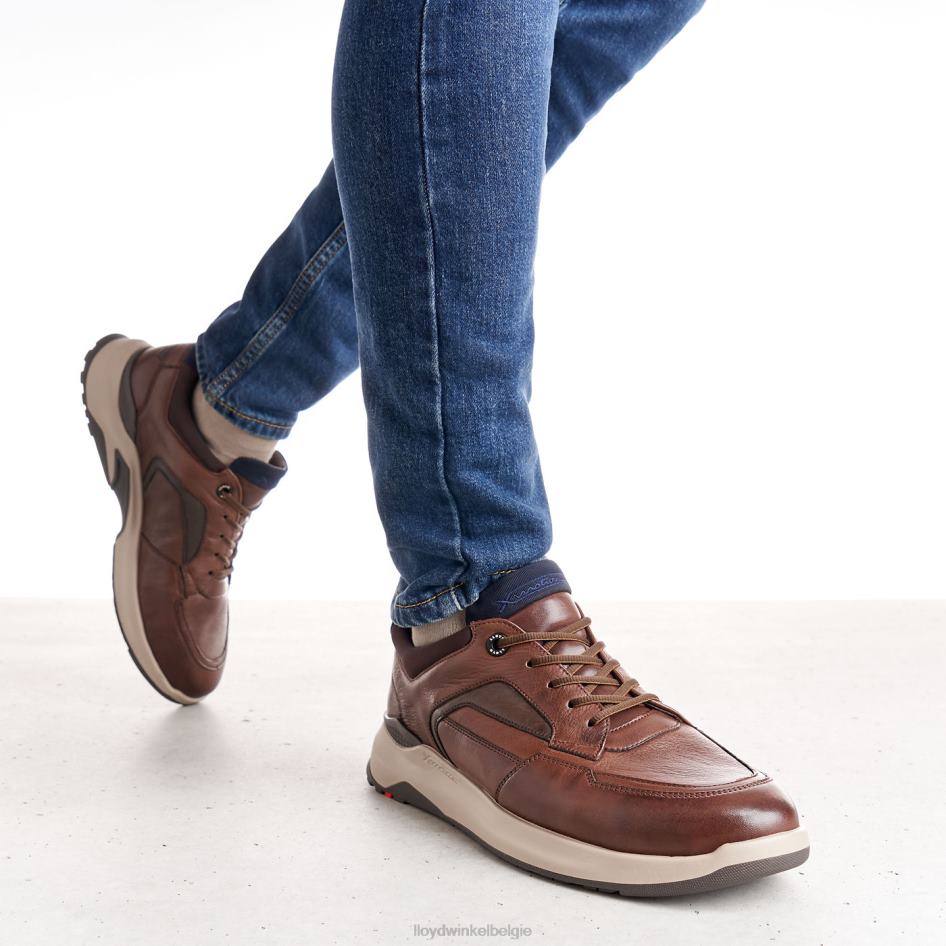 memphis Heren LLOYD bruin schoenen ZJ6BL267