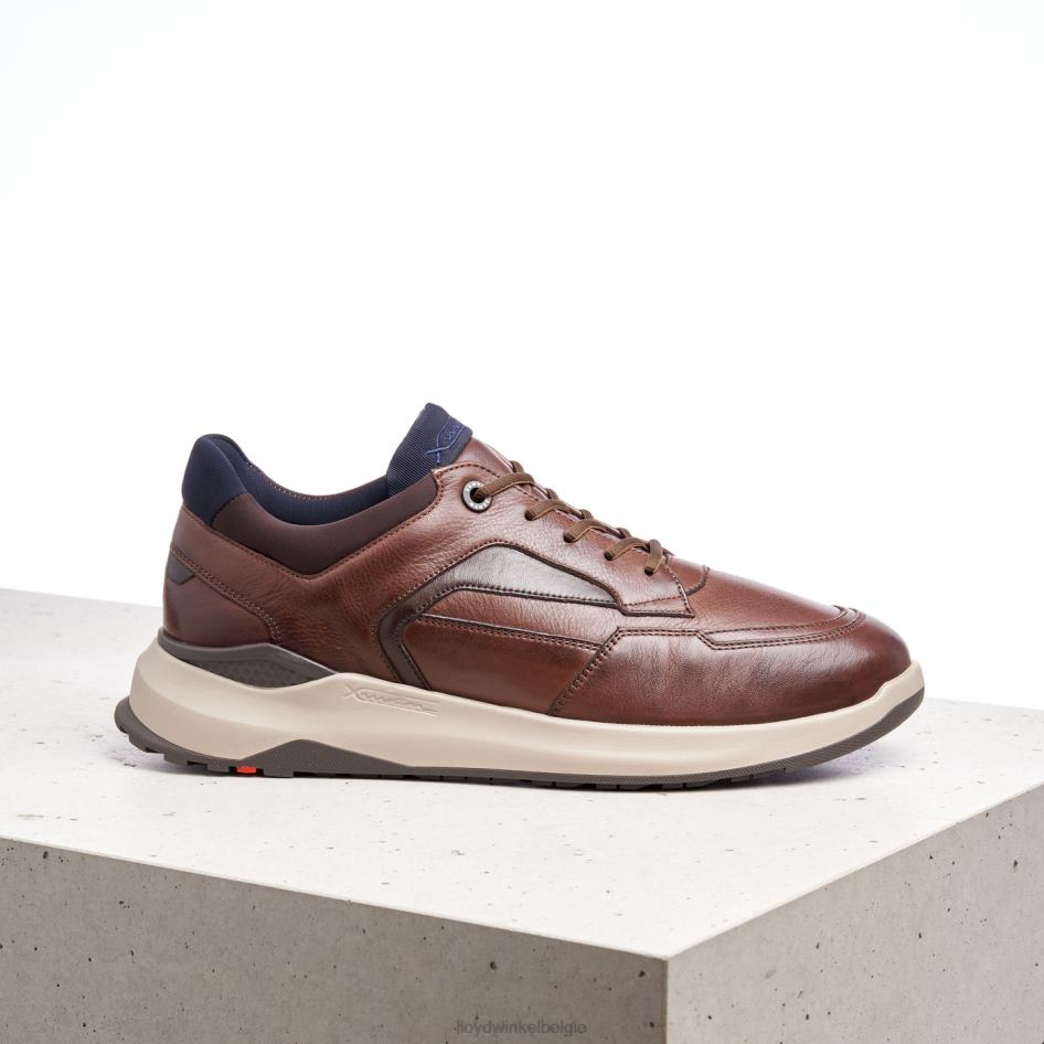 memphis Heren LLOYD bruin schoenen ZJ6BL267