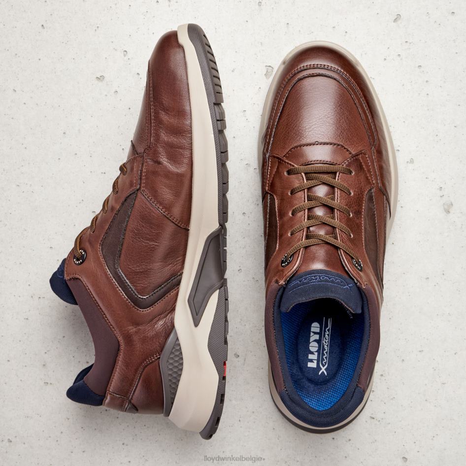 memphis Heren LLOYD bruin schoenen ZJ6BL267