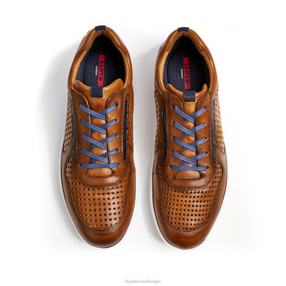 ongeveer Heren LLOYD bruin schoenen ZJ6BL415