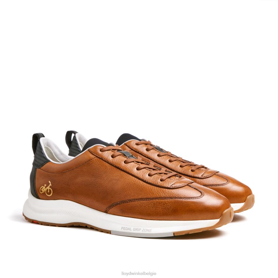 velo 6 Heren LLOYD bruin schoenen ZJ6BL435