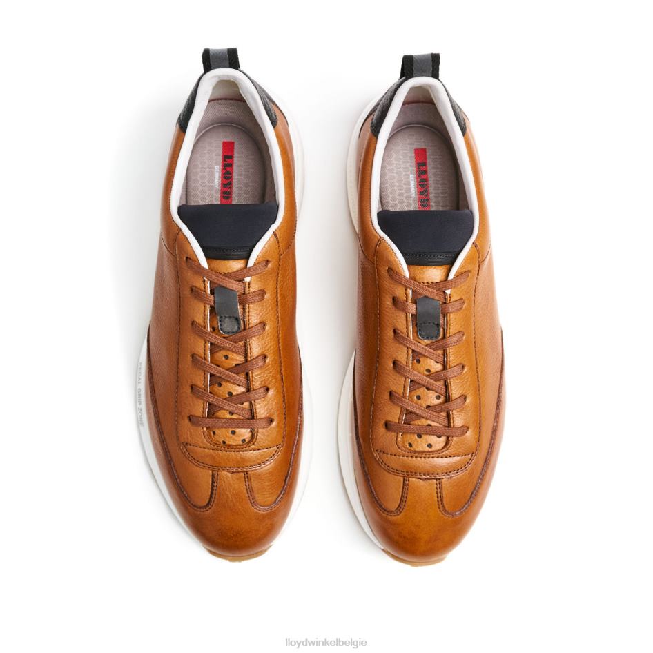 velo 6 Heren LLOYD bruin schoenen ZJ6BL435
