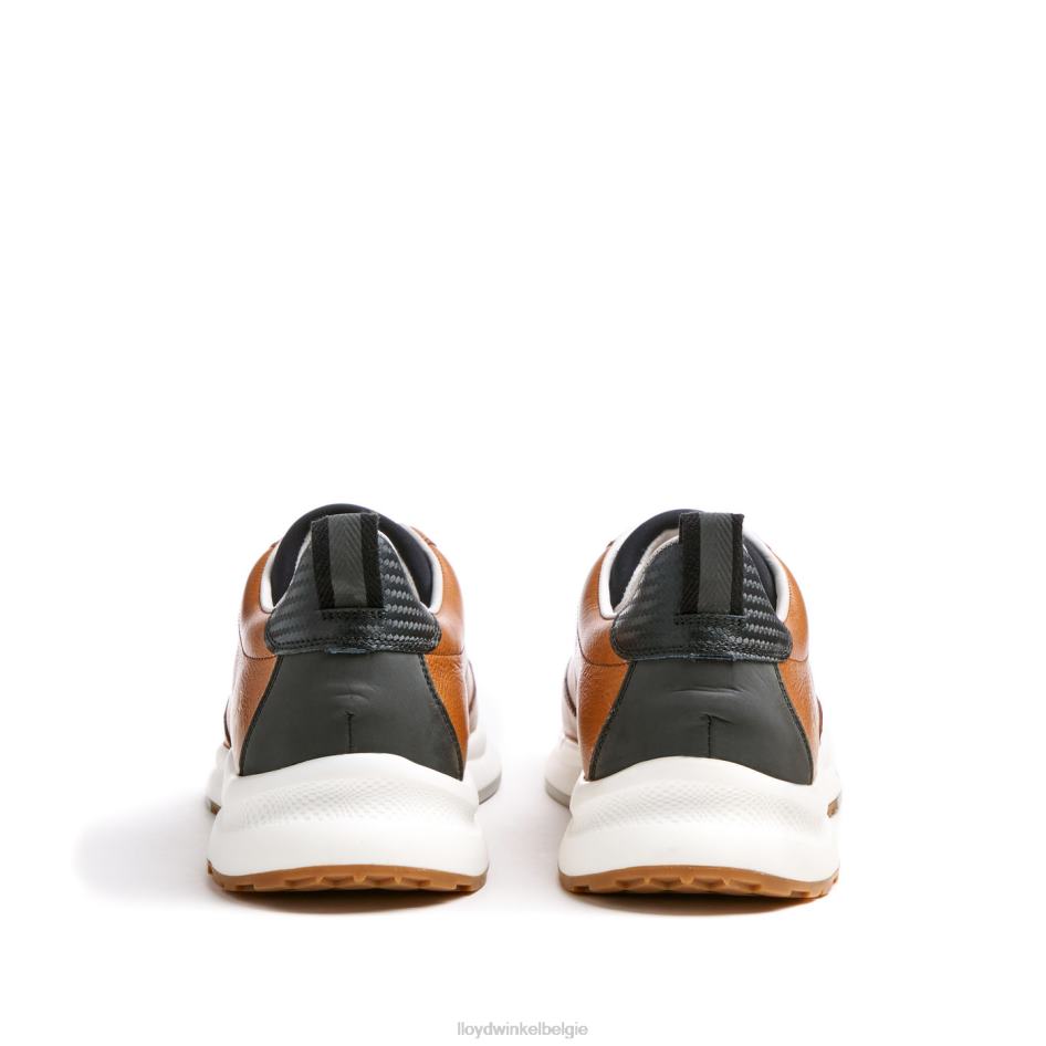 velo 6 Heren LLOYD bruin schoenen ZJ6BL435