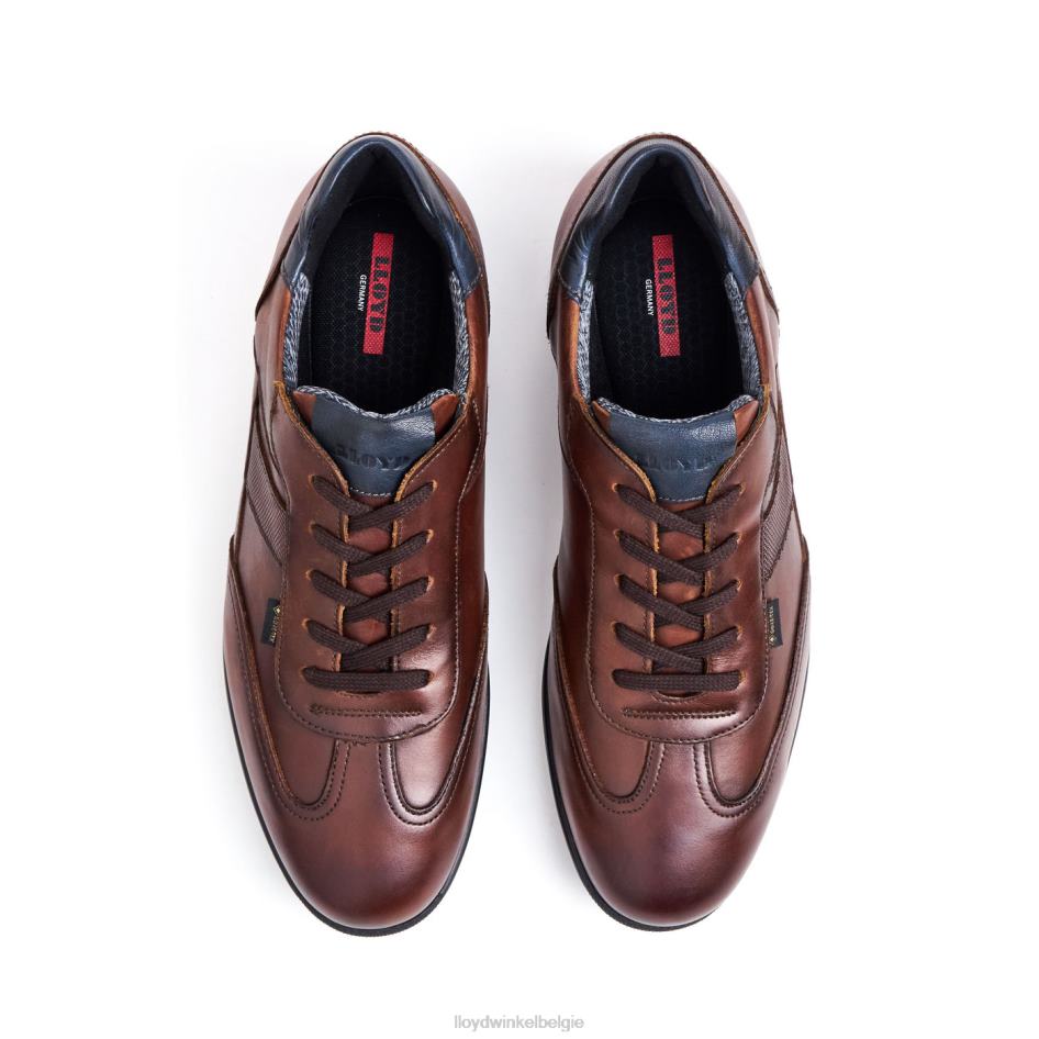vernon Heren LLOYD bruin schoenen ZJ6BL136