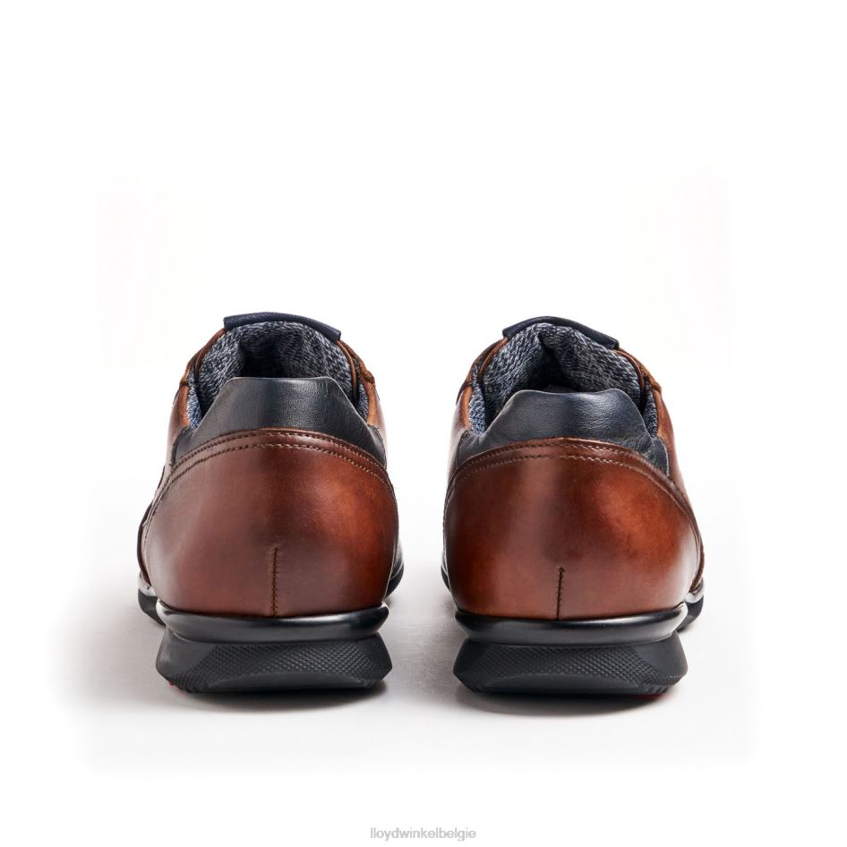 vernon Heren LLOYD bruin schoenen ZJ6BL136