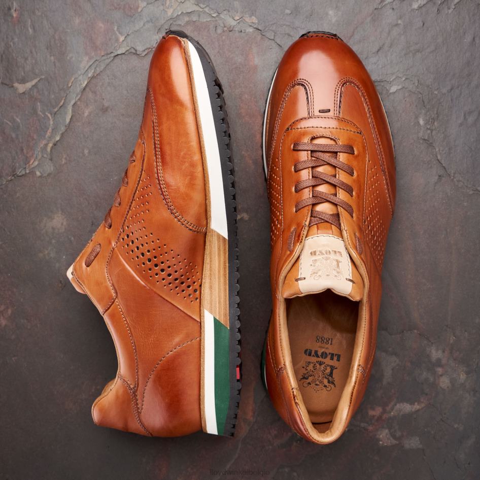 walcott Heren LLOYD bruin schoenen ZJ6BL180