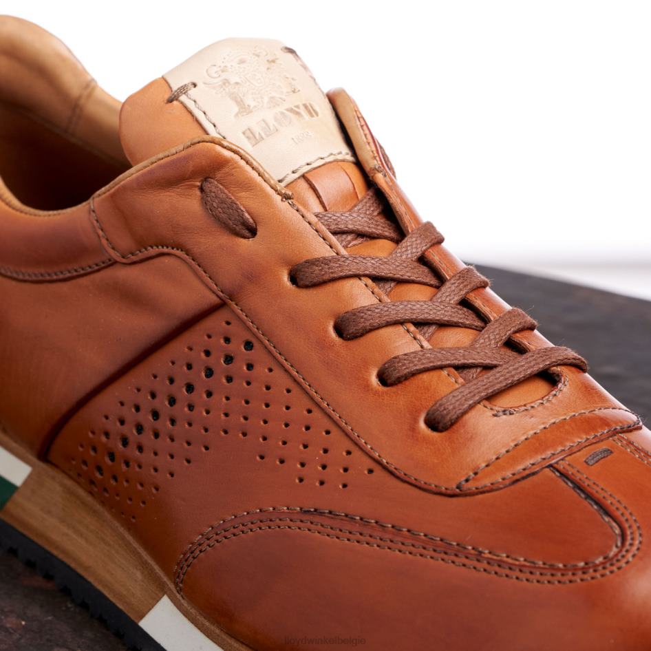 walcott Heren LLOYD bruin schoenen ZJ6BL180