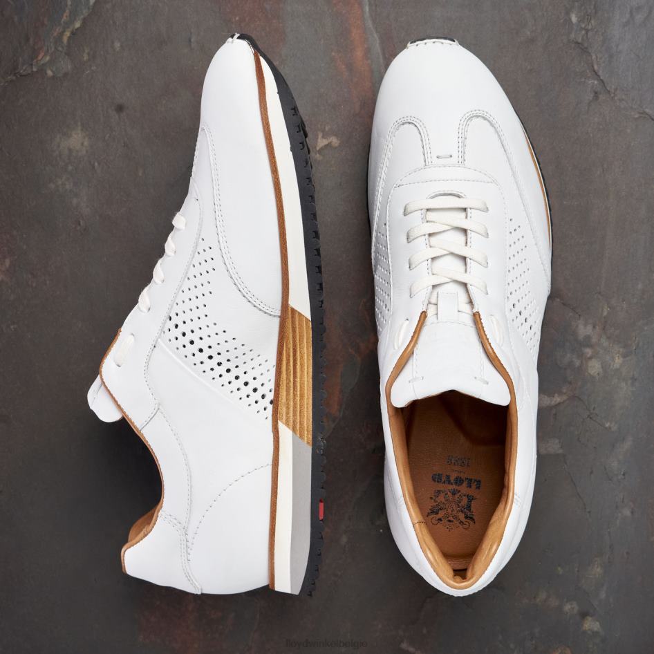 walcott Heren LLOYD wit schoenen ZJ6BL1320