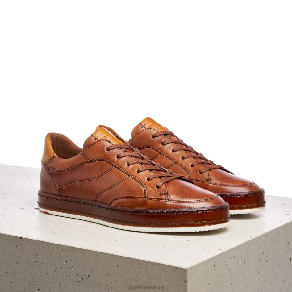 zwartbrand Heren LLOYD bruin schoenen ZJ6BL440