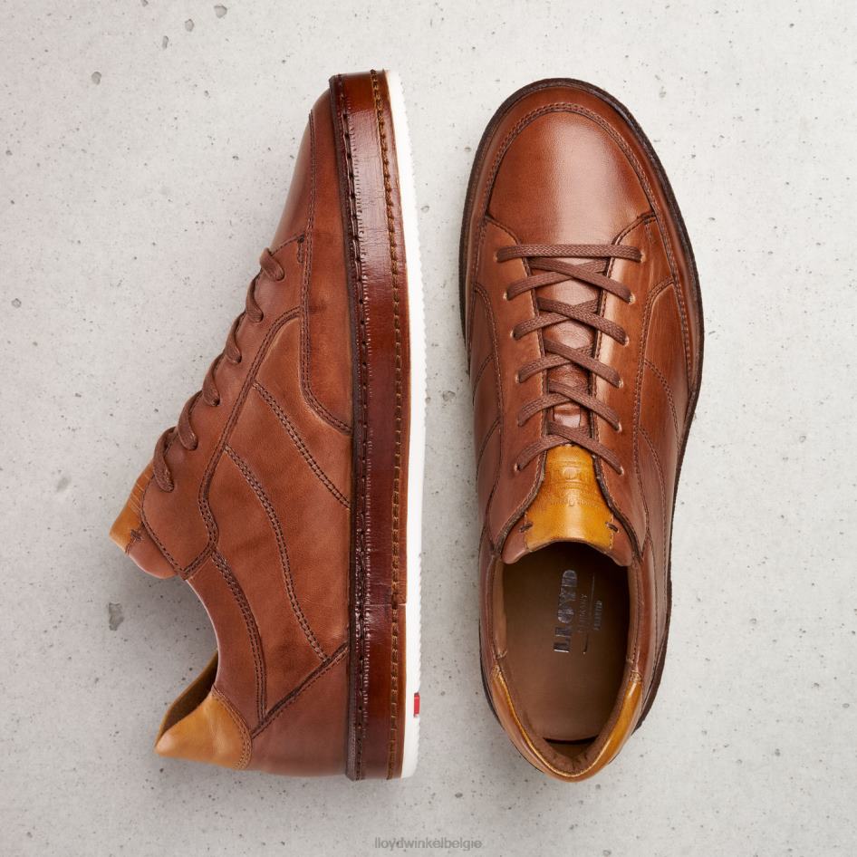 zwartbrand Heren LLOYD bruin schoenen ZJ6BL440
