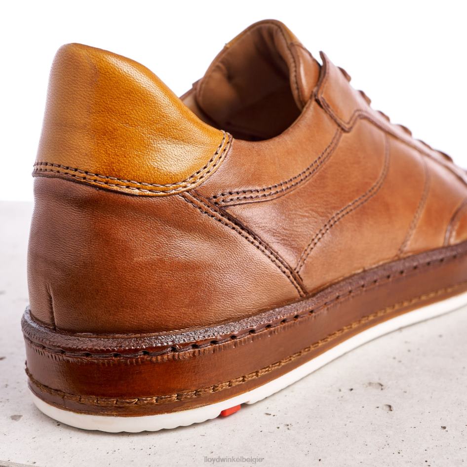 zwartbrand Heren LLOYD bruin schoenen ZJ6BL440