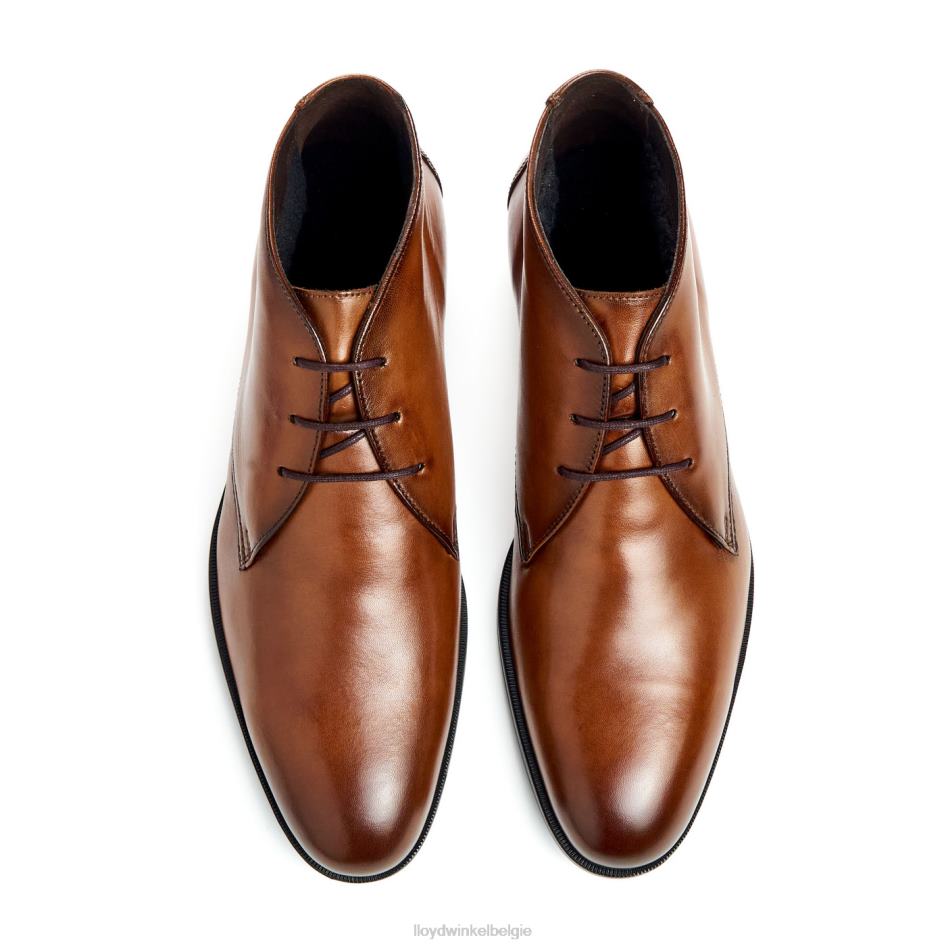 Feliciano Heren LLOYD bruin schoenen ZJ6BL54