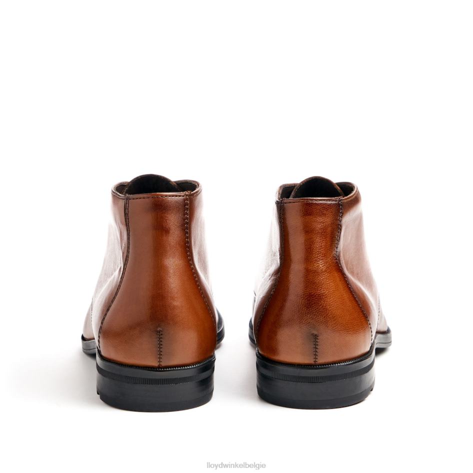 Feliciano Heren LLOYD bruin schoenen ZJ6BL54