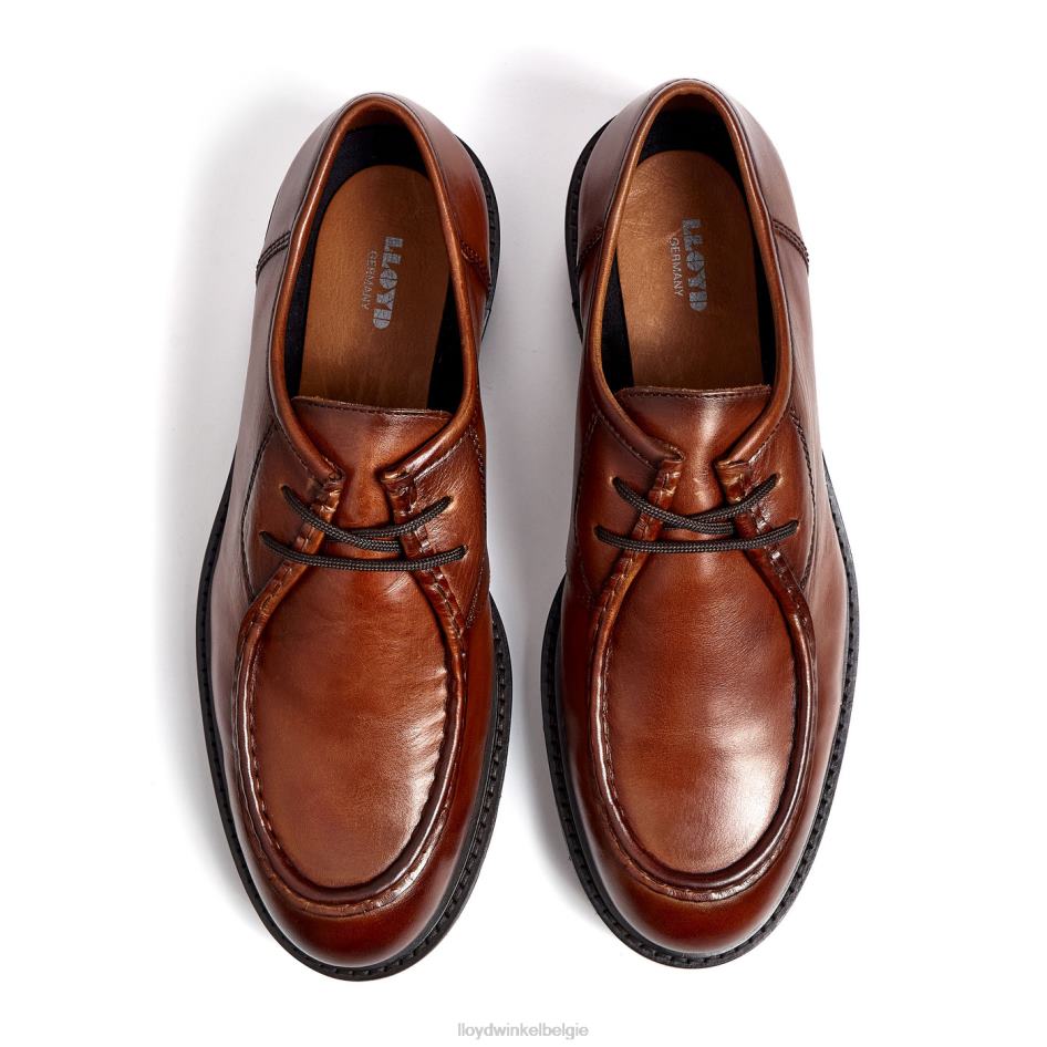Felipe Heren LLOYD bruin schoenen ZJ6BL137