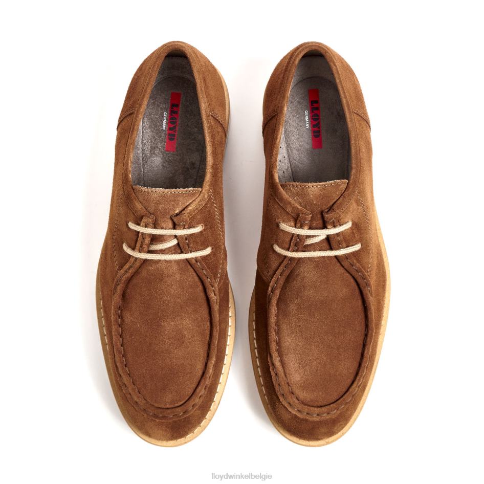 Levi Heren LLOYD bruin schoenen ZJ6BL210