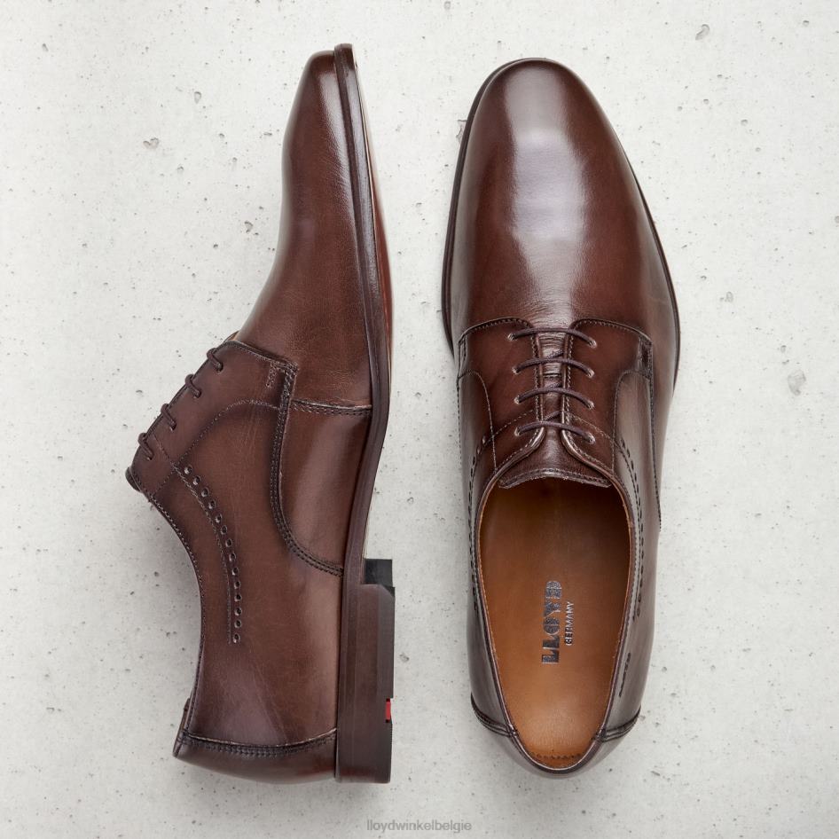 Ocas Heren LLOYD bruin schoenen ZJ6BL575