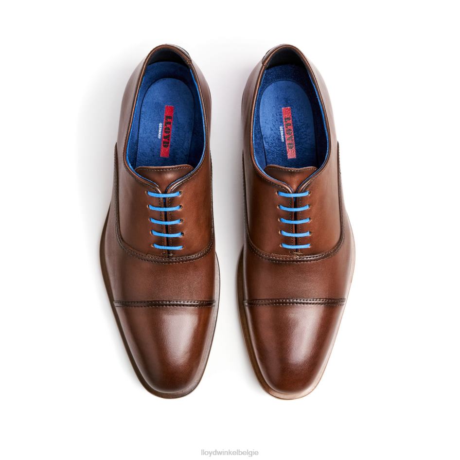 beroven Heren LLOYD bruin schoenen ZJ6BL130